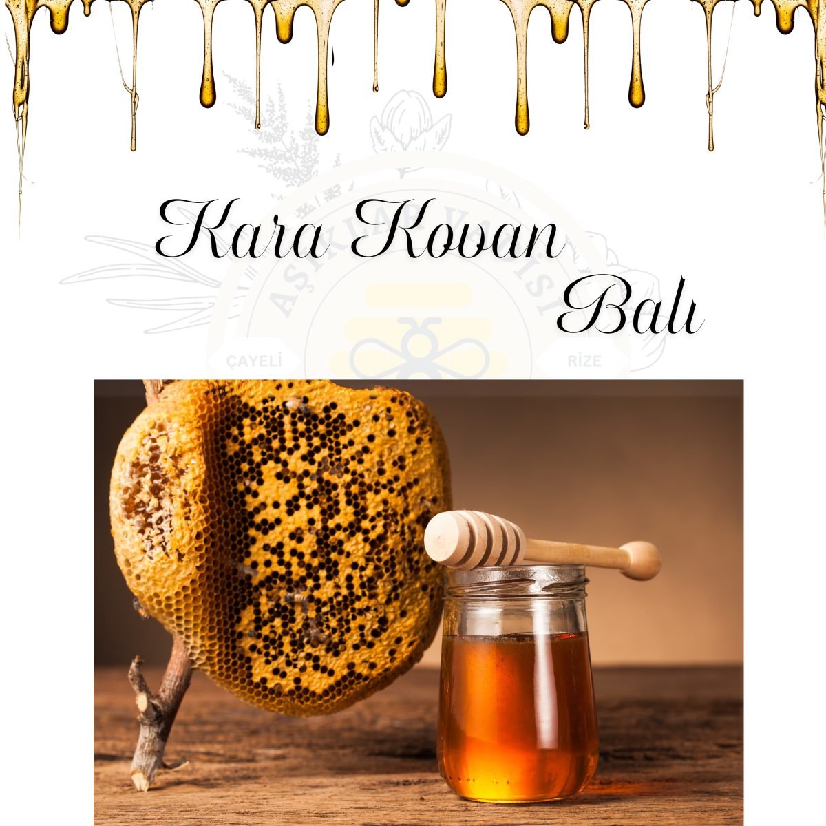 Kestane Balı Nedir? Faydaları, Tadı ve Doğru Tüketimi
