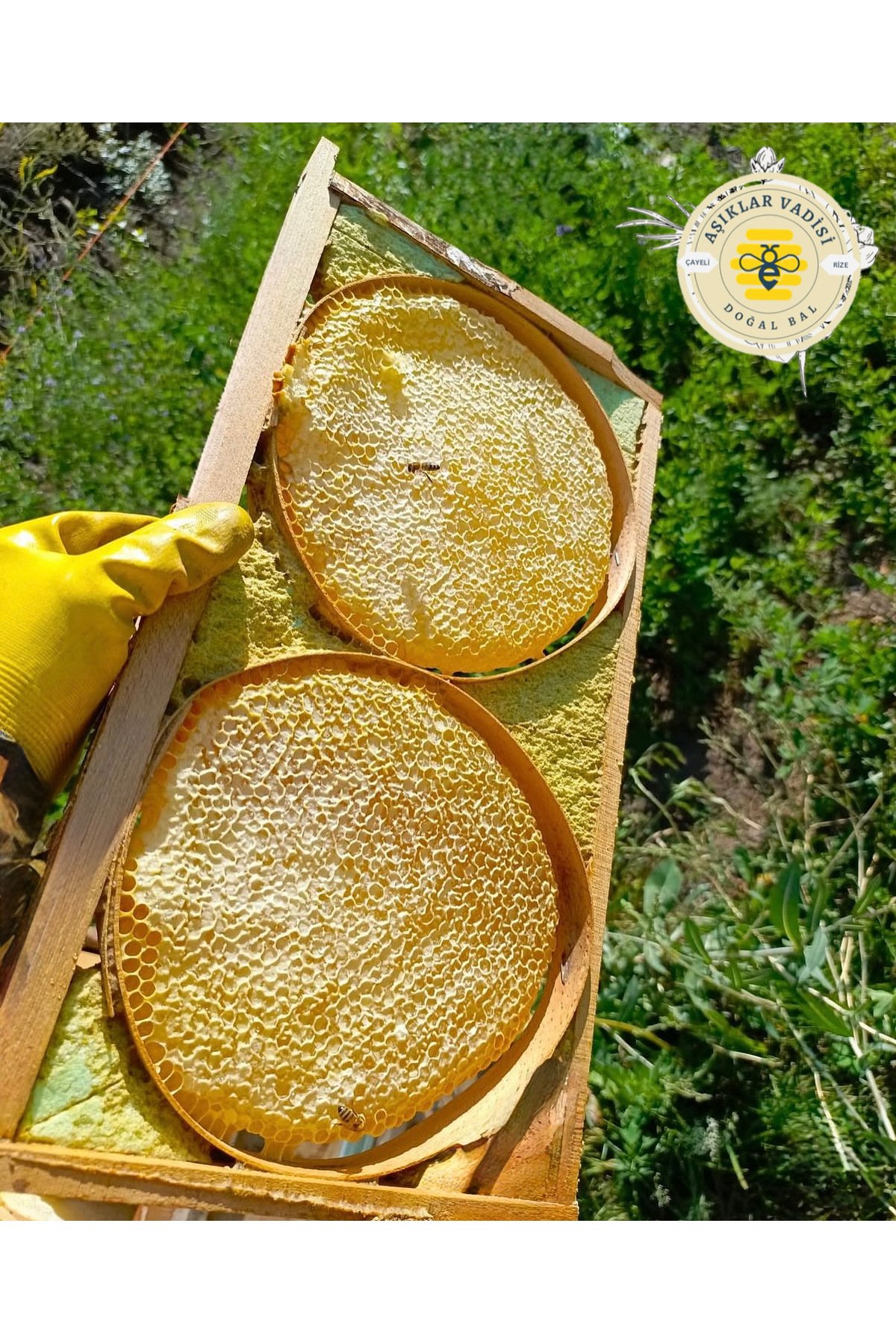 Erzurum Karakovan Petek Balı 1 kg